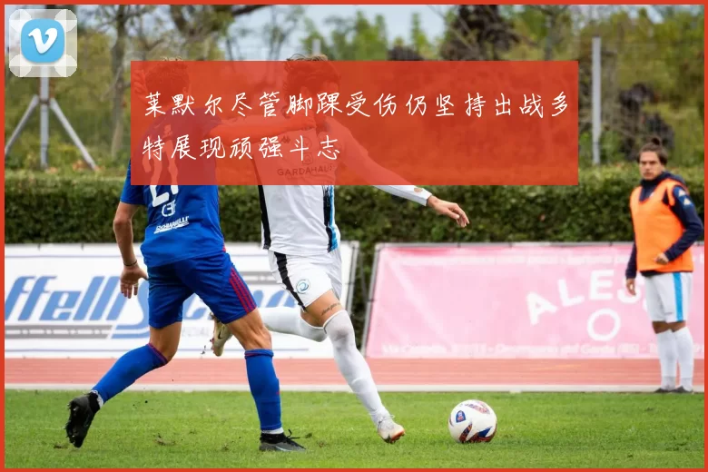 莱默尔尽管脚踝受伤仍坚持出战多特展现顽强斗志